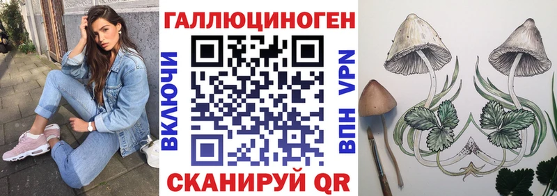 kraken tor  где продают наркотики  Семилуки  Галлюциногенные грибы Cubensis 